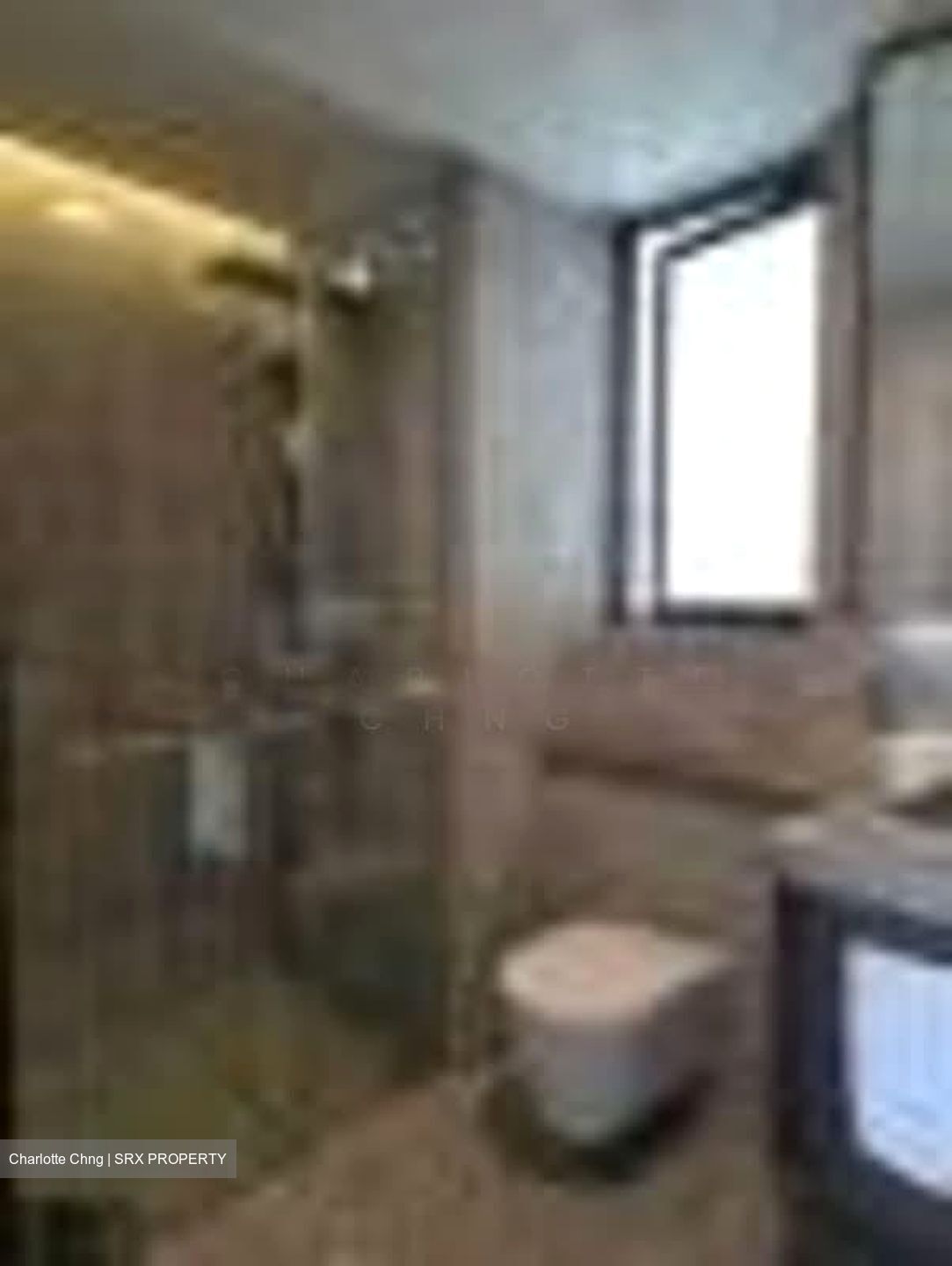 One Pearl Bank (D3), Apartment #540820471